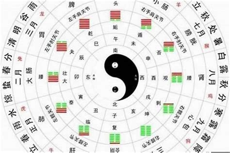 命 格 五行|免費線上八字計算機｜八字重量查詢、五行八字算